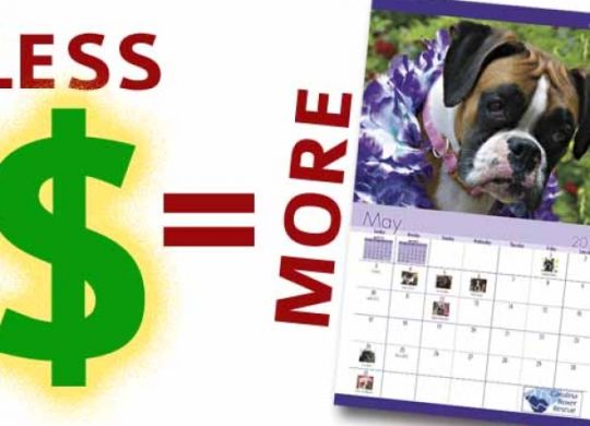 Lower Prices More Calendars
