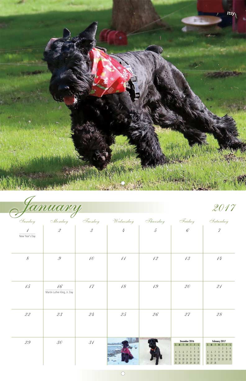 Valley Of The Sun Giant Schnauzer Rescue 2018 Calendar Yearbox Valley Of The Sun Giant Schnauzer Rescue 2018 Calendar