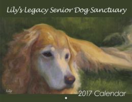 Dog Rescue Calendar with Paintings