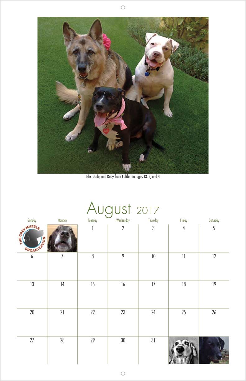 senior rescue senior support organization calendar yearbox calendars senior rescue senior support organization calendar yearbox calendars