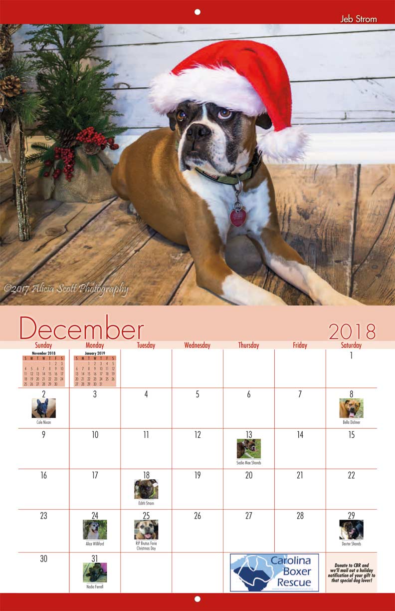 Calendar Fundraiser During The Holidays Tips