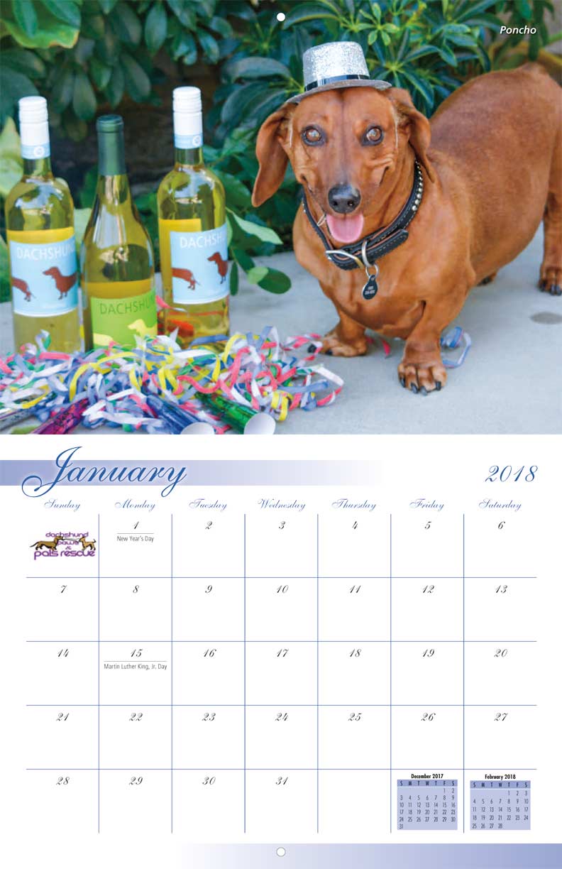 Mead 2023 Wall Calendar, Paw Pals, 16 Months, September 2022 – December 2023, 12" X 12", Bilingual (LMF2261023