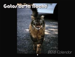 Feral Cat Rescue Calendar
