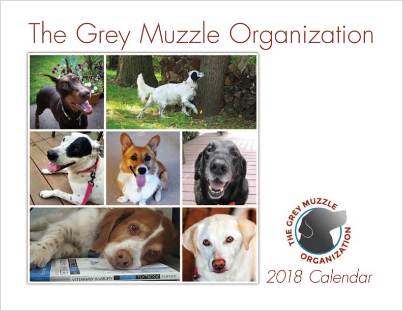 Grey Muzzle Calendar Cover