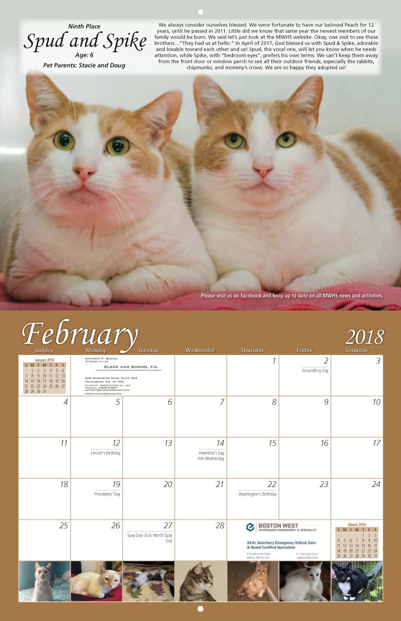 MetroWest Humane Society 2018 Calendar Fundraising