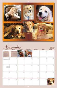 homeward bound golden retriever rescue california homeward bound golden retriever rescue 2018 calendar yearbox calendars homeward bound golden retriever rescue california homeward bound golden retriever rescue 2018 calendar yearbox calendars