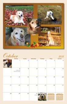 homeward bound golden retriever rescue inc homeward bound golden retriever rescue 2018 calendar yearbox calendars homeward bound golden retriever rescue inc homeward bound golden retriever rescue 2018 calendar yearbox calendars