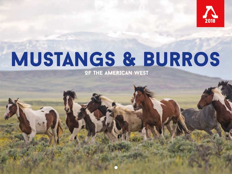 Wild Horse And Burrow Calendar Cover