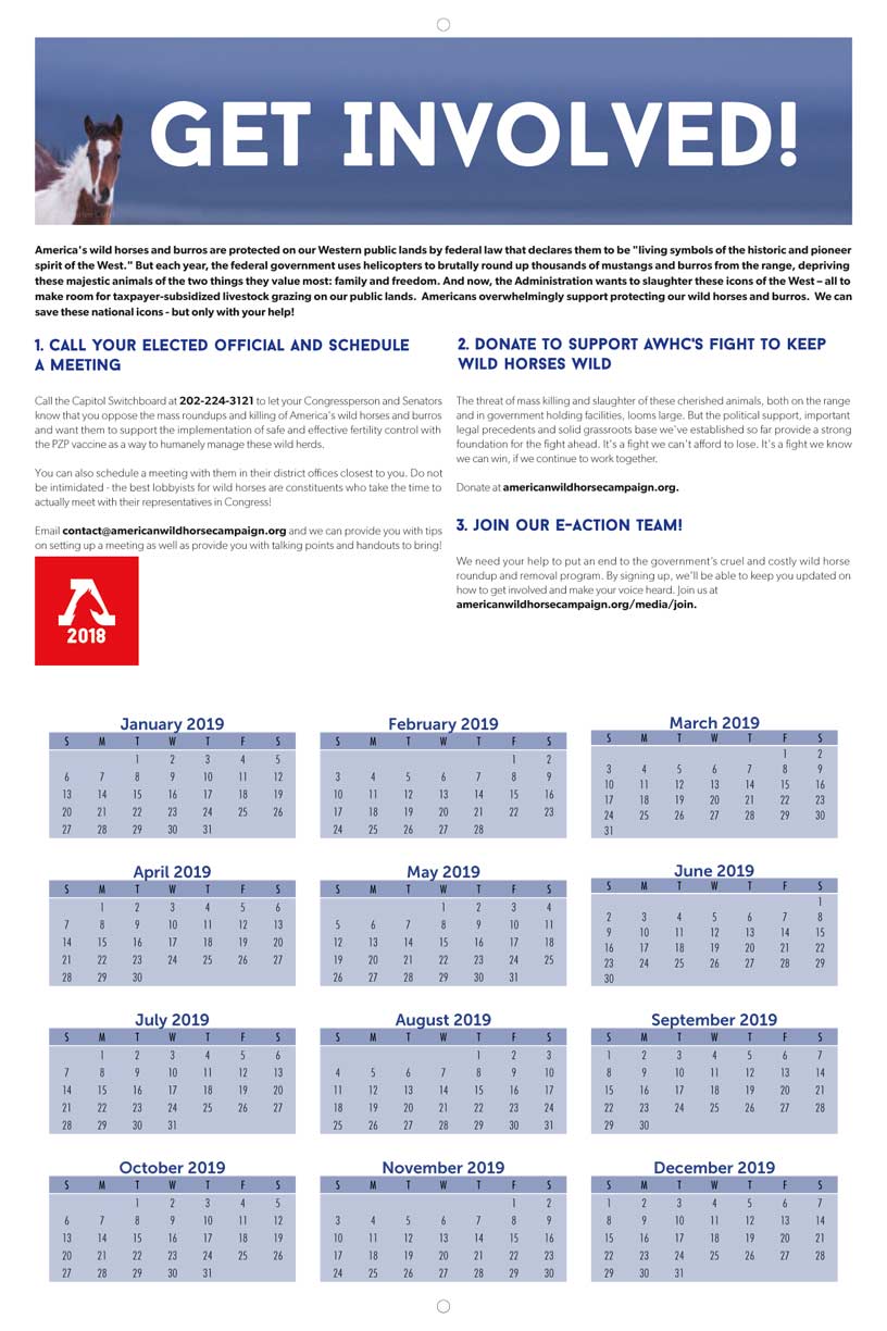 calender s
