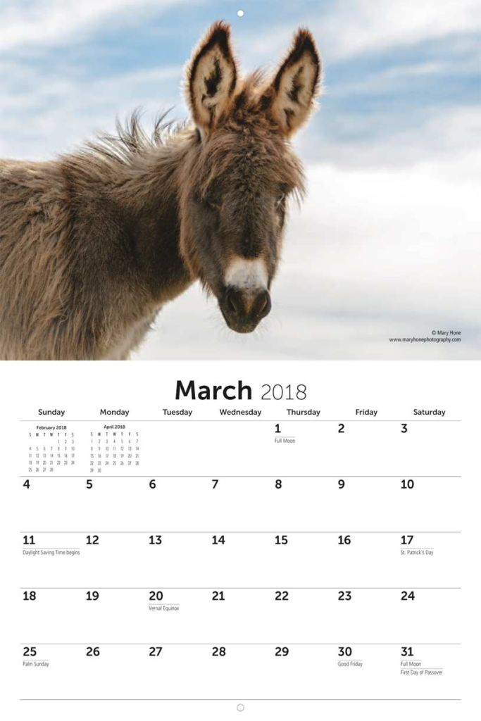 American Wild Horse Campaign 2018 Calendar Yearbox Calendars