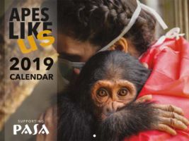 Ape Rescue Calendar
