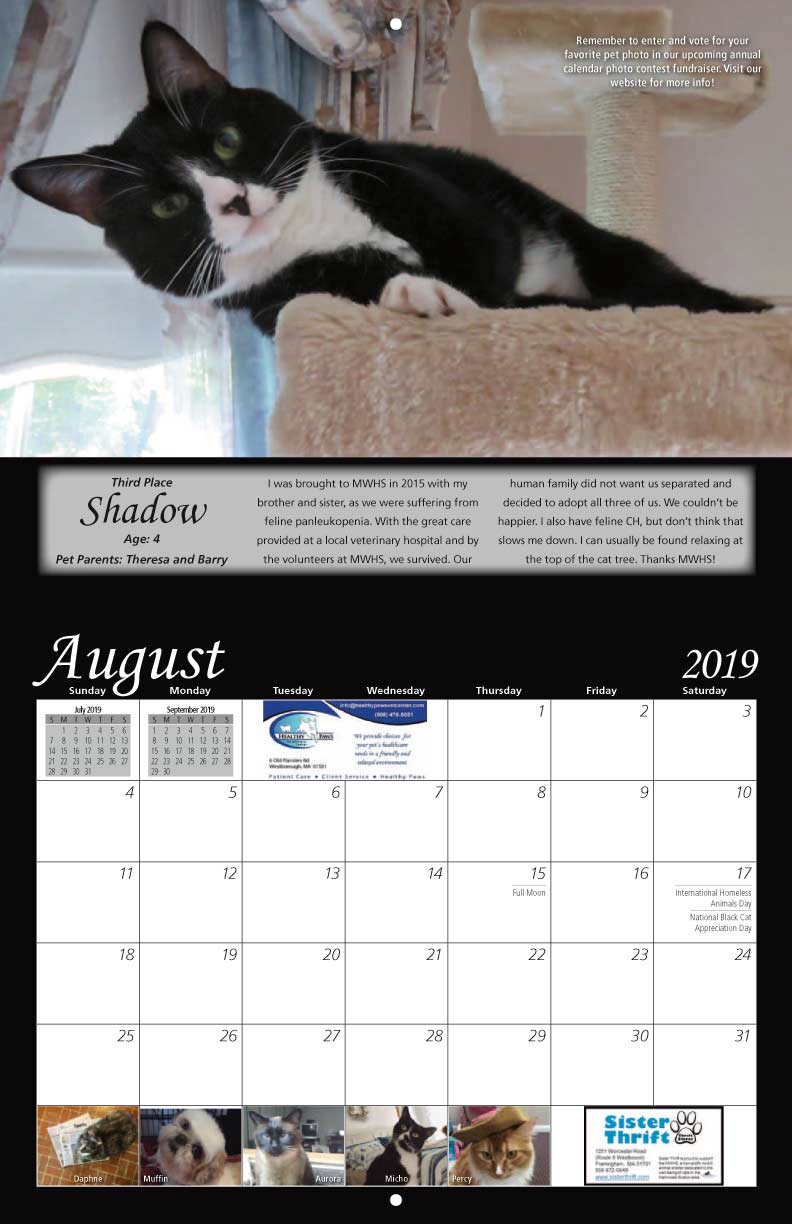 MetroWest Humane Society 2019 Calendar Fundraising