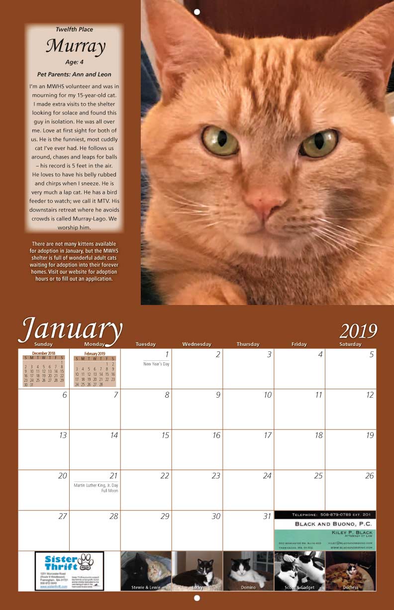 MetroWest Humane Society 2019 Calendar Fundraising