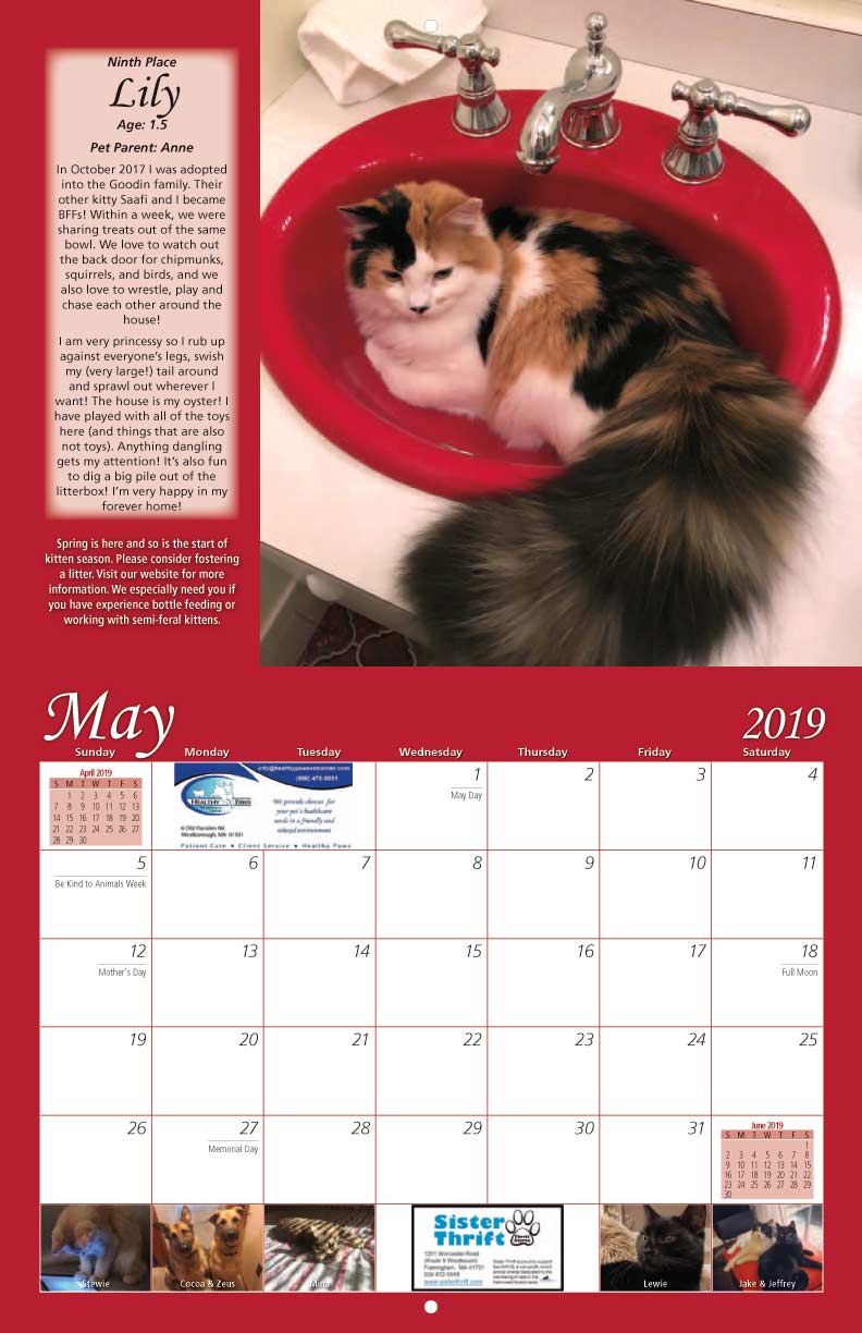 MetroWest Humane Society 2019 Calendar Fundraising