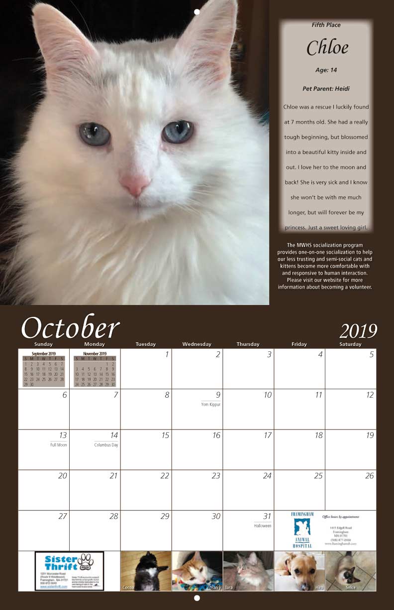 MetroWest Humane Society 2019 Calendar Fundraising