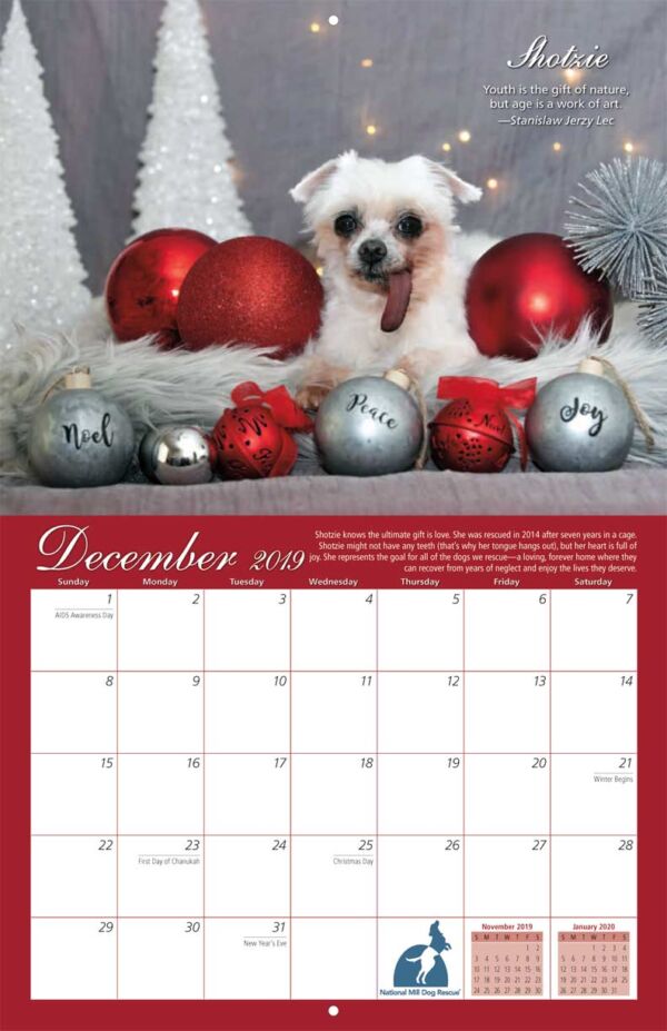 National Mill Dog Rescue 2019 Calendar Fundraising