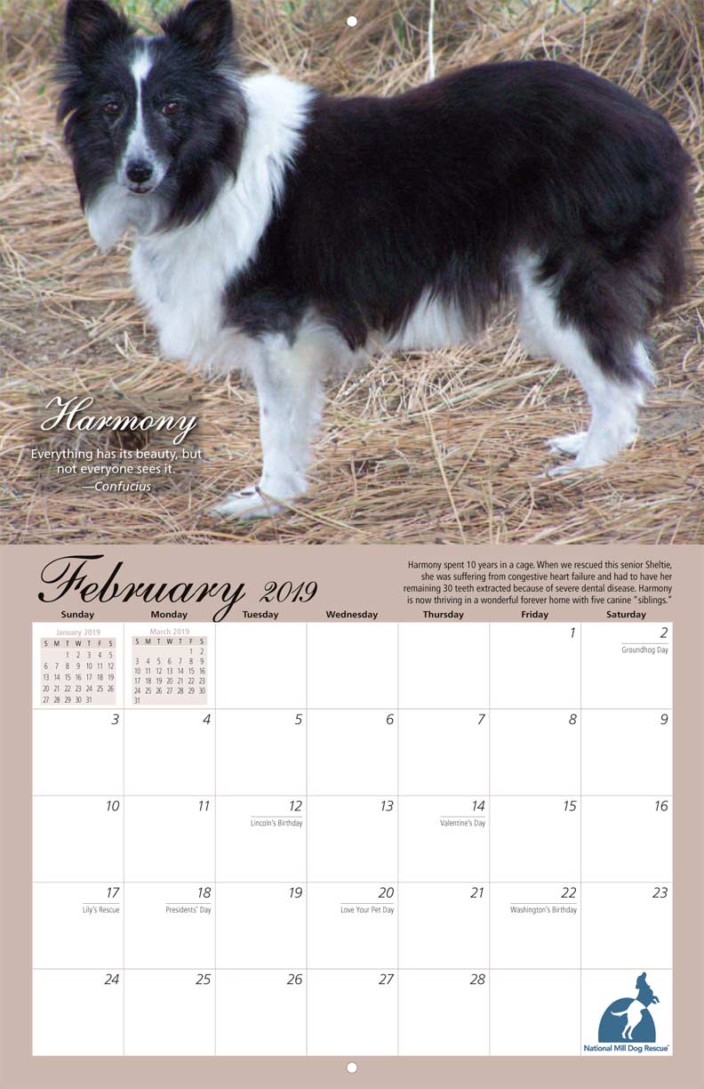 National Mill Dog Rescue 2019 Calendar Yearbox Calendars
