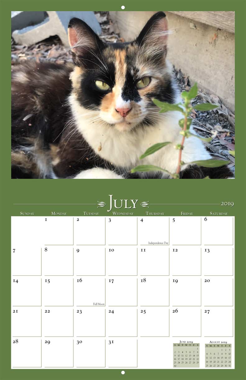 Gatos de la Noche 2019 Calendar Fundraising