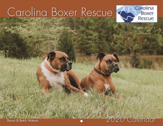 Carolina Boxer Rescue Calendar Cover