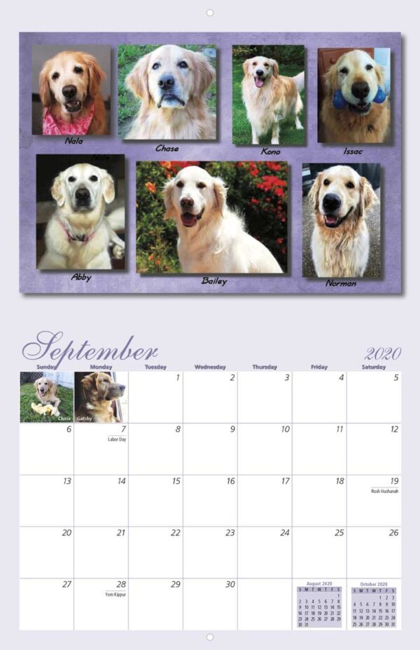 Homeward Bound Golden Retriever Rescue 2020 Calendar Fundraising