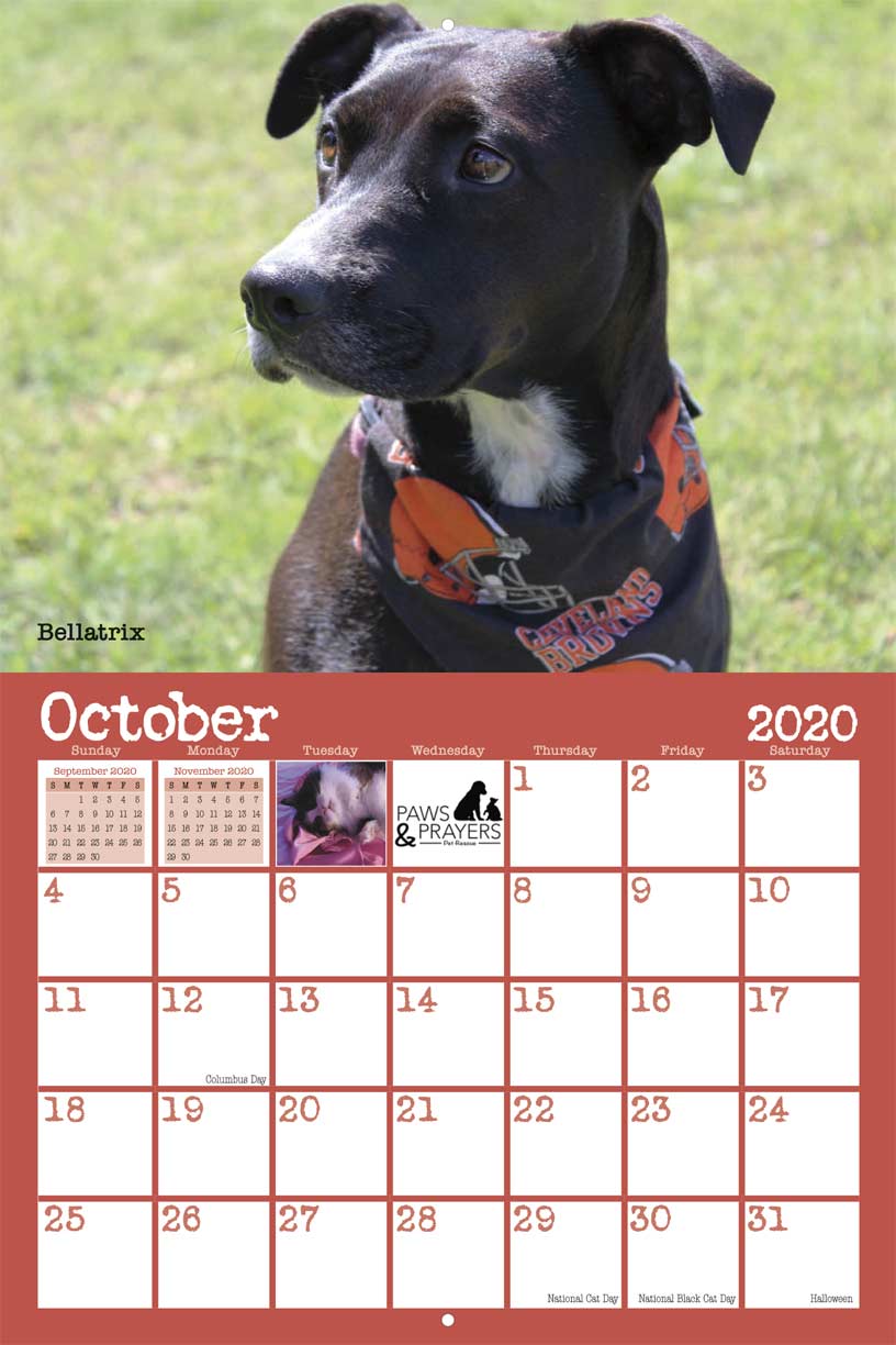 Paws and Prayers Pet Rescue 2020 Calendar Fundraising