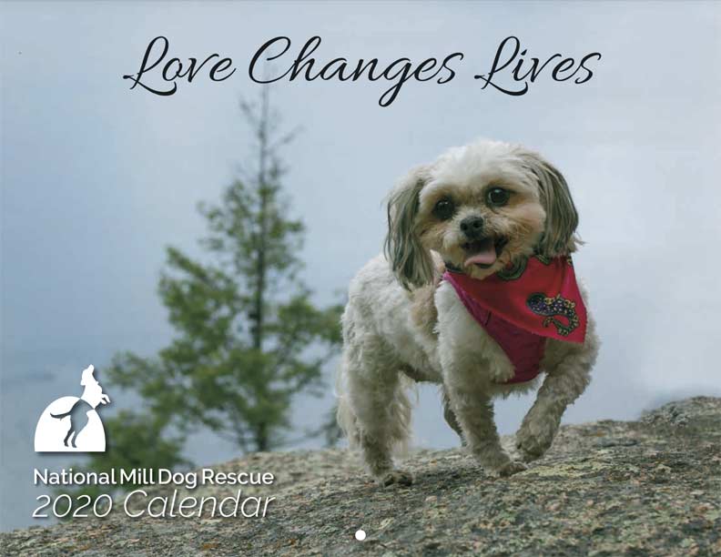 national puppy mill rescue