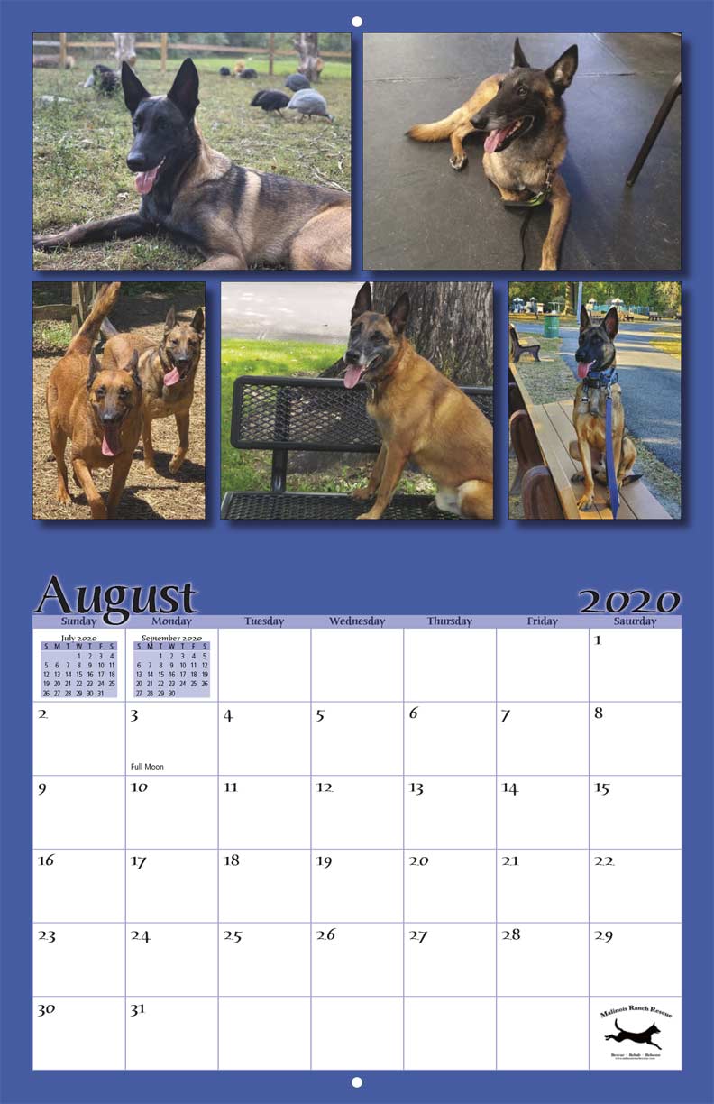 malinois rescue ranch