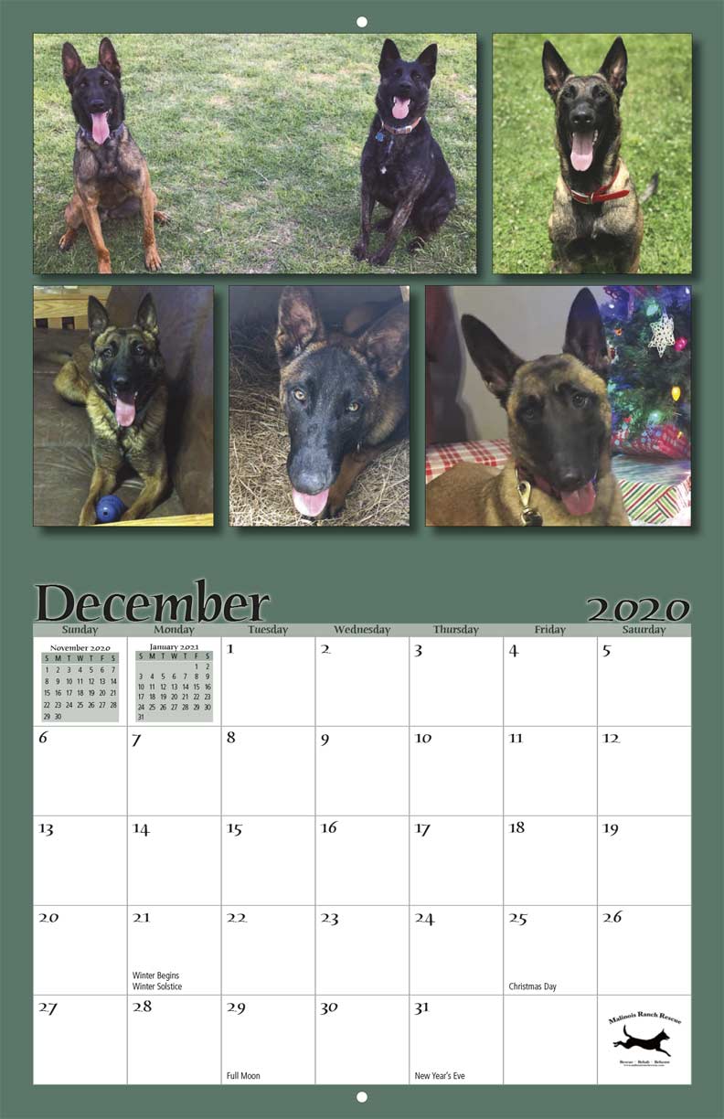 malinois rescue ranch