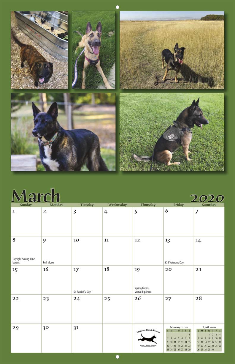 malinois rescue ranch