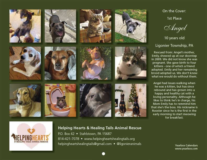 Helping Hearts & Healing Tails Animal Rescue 2021 Calendar Fundraising