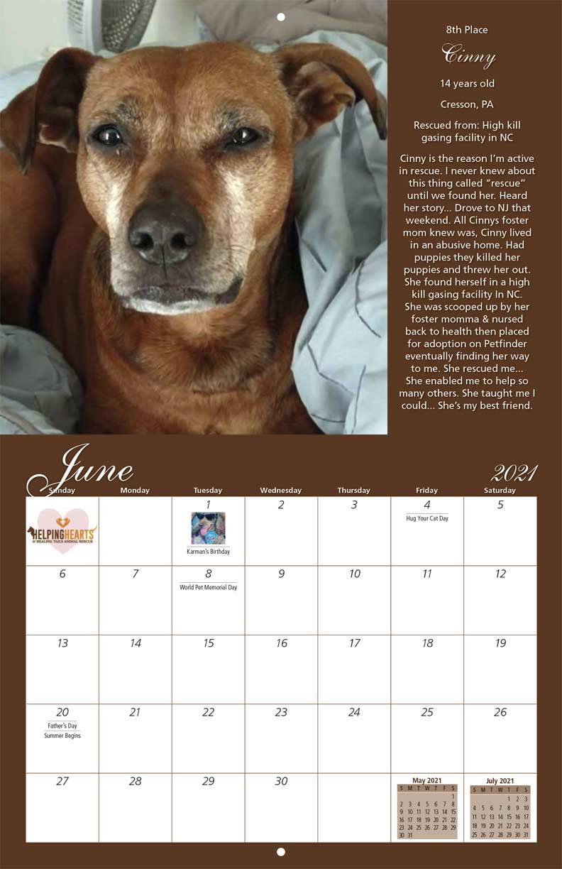 Helping Hearts & Healing Tails Animal Rescue 2021 Calendar Fundraising