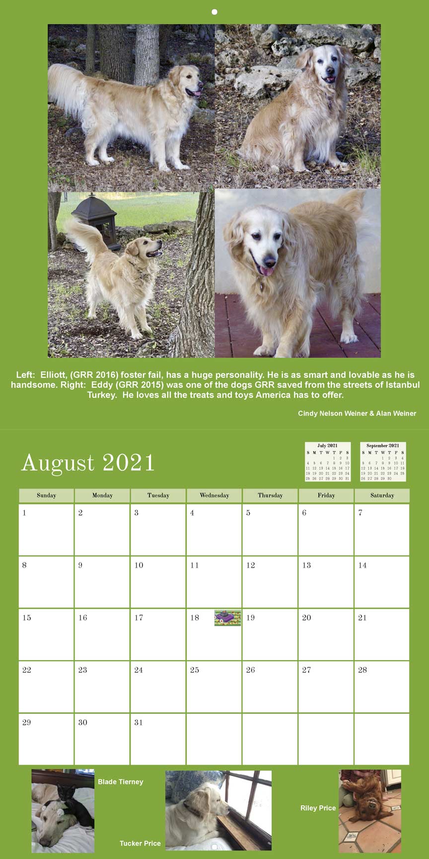 Gold Ribbon Rescue 2021 Calendar Fundraising