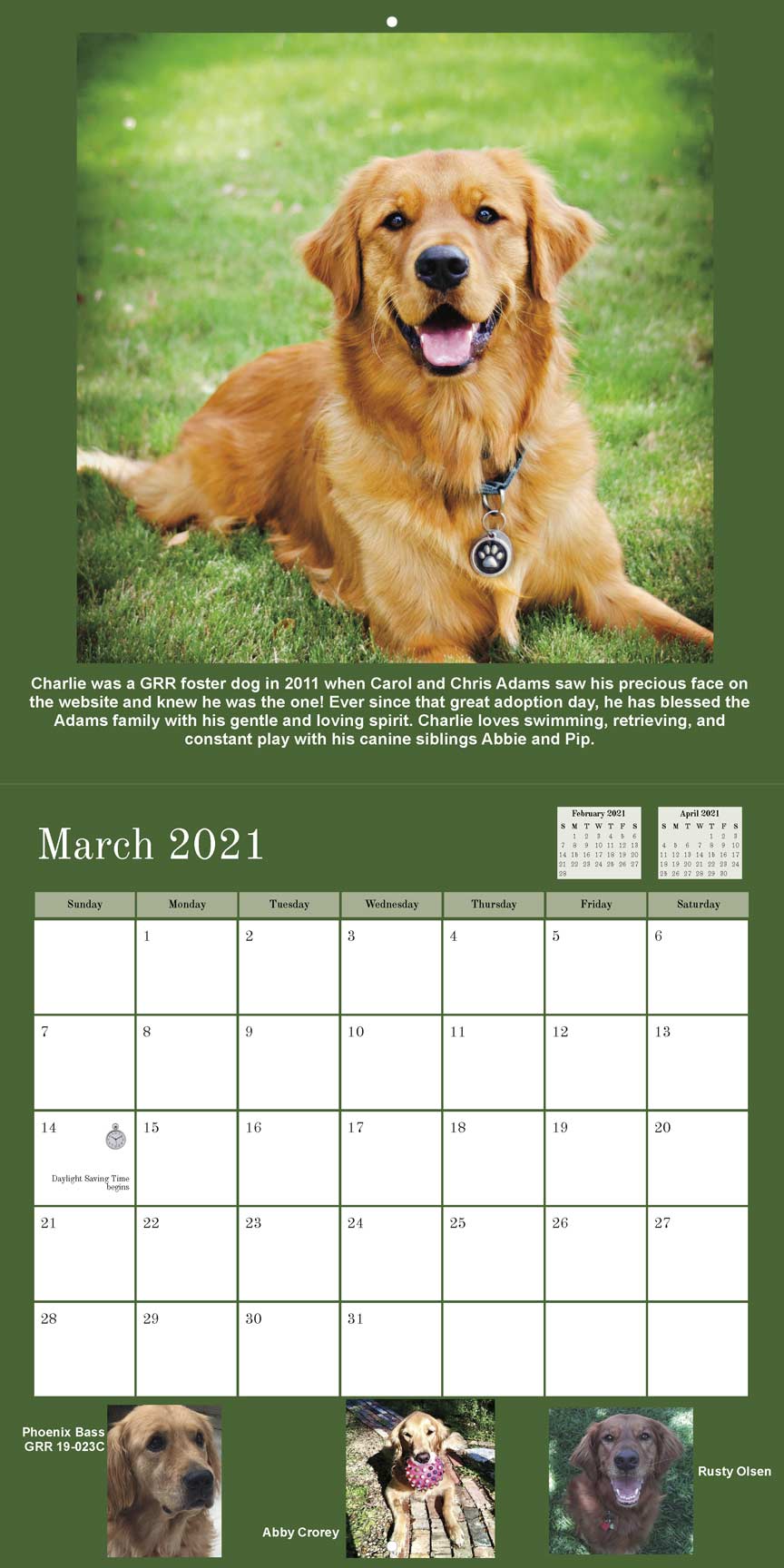 Gold Ribbon Rescue 2021 Calendar Fundraising