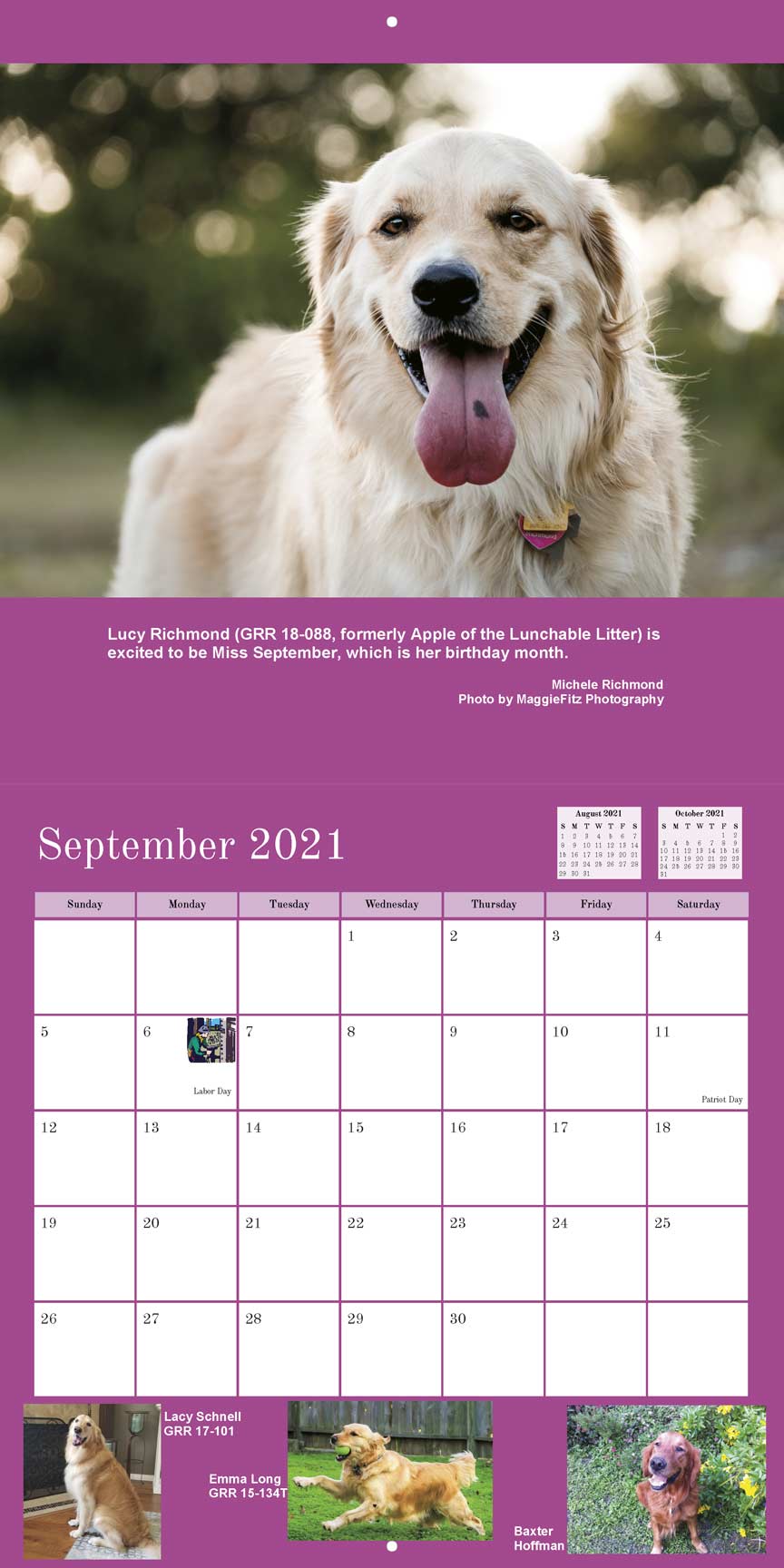 Gold Ribbon Rescue 2021 Calendar Fundraising
