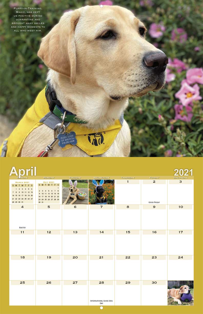Guide Dogs of America Pawsitivity 2021 Calendar