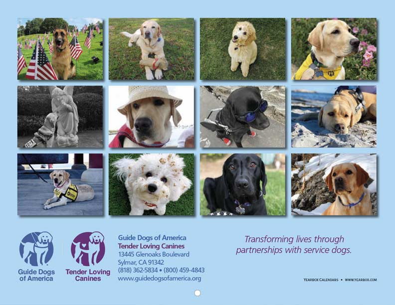 Guide Dogs of America Pawsitivity 2021 Calendar