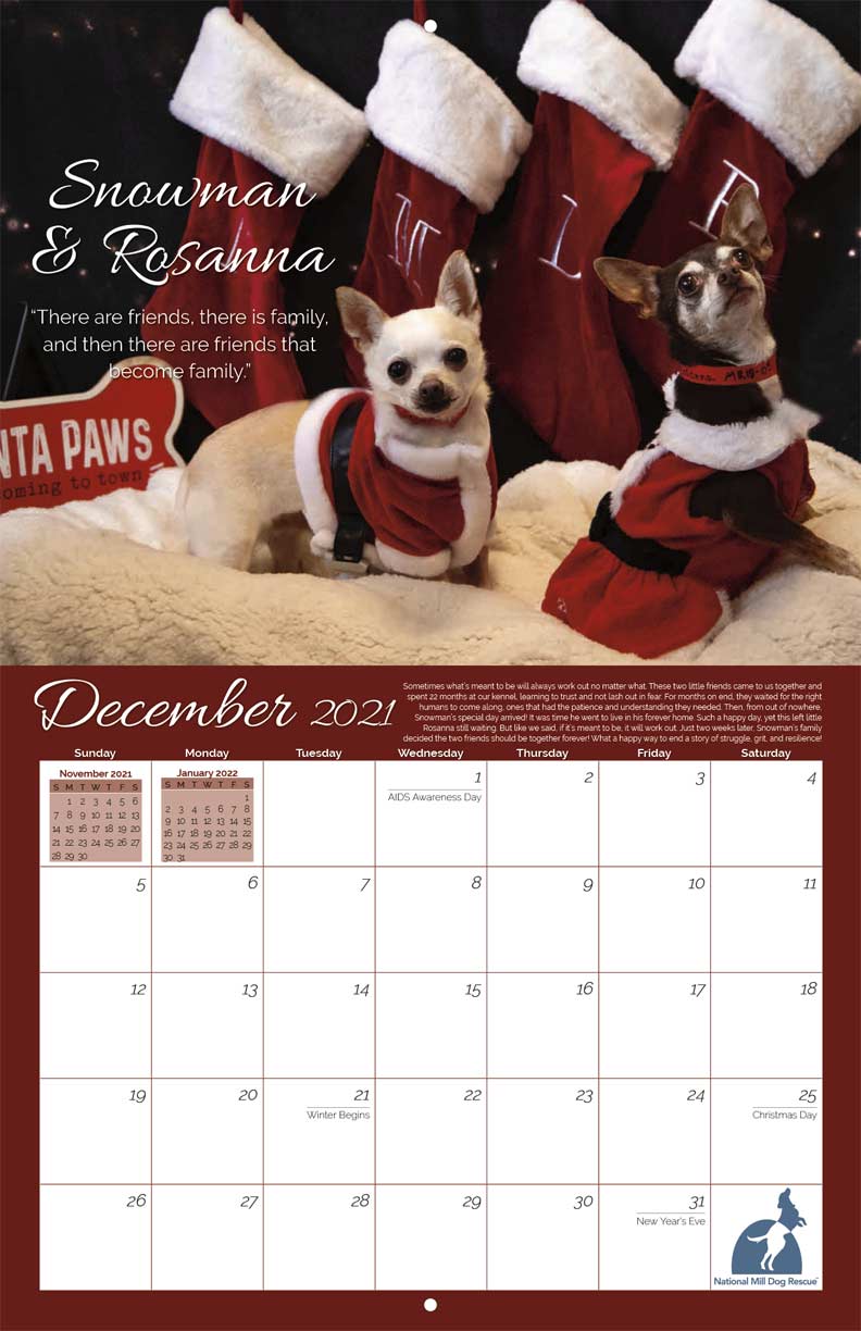 National Mill Dog Rescue 2021 Calendar Fundraising