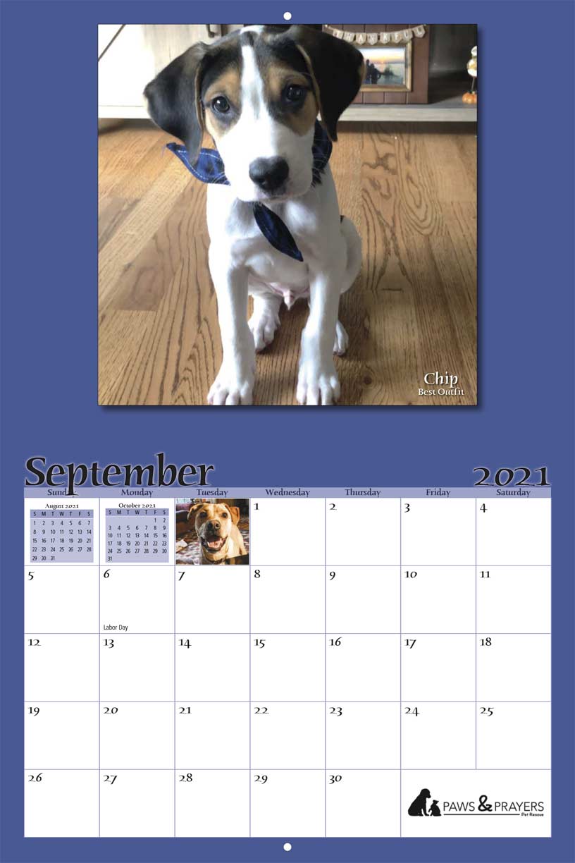 Paws and Prayers Pet Rescue 2021 Calendar Fundraising