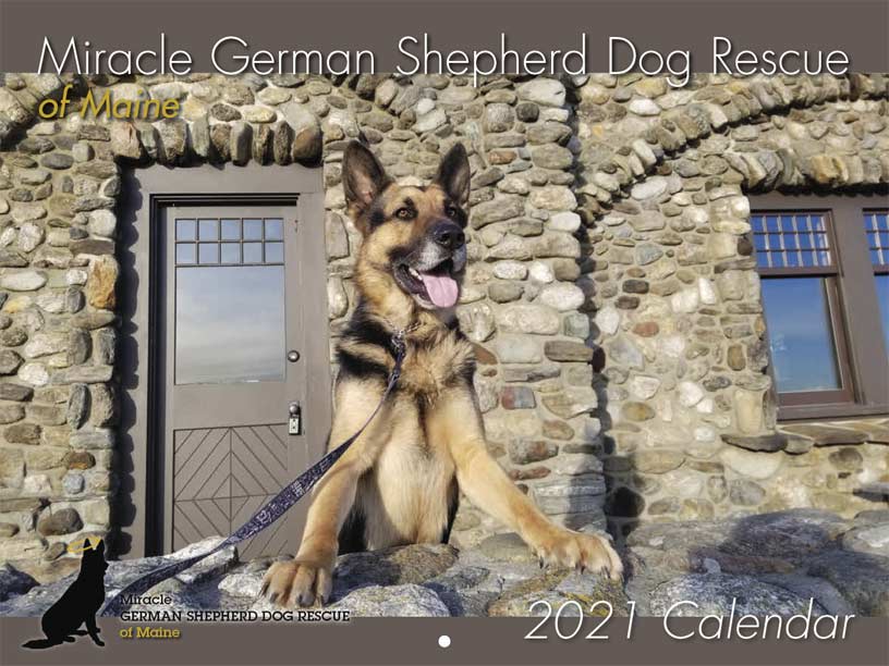 Miracle German Shepherd Dog Rescue of Maine 2021 Calendar