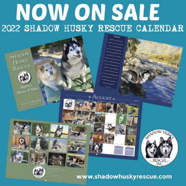 Shadow Husky Rescue 2022 Calendar - Yearbox Calendars