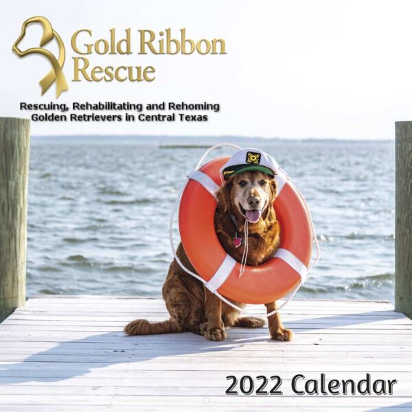 Gold Ribbon Rescue 2022 Calendar Fundraising