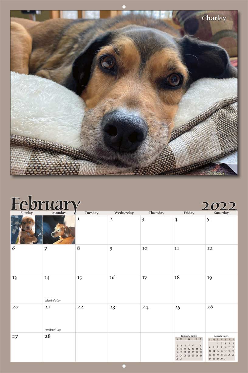 Paws and Prayers Pet Rescue 2022 Calendar Fundraising