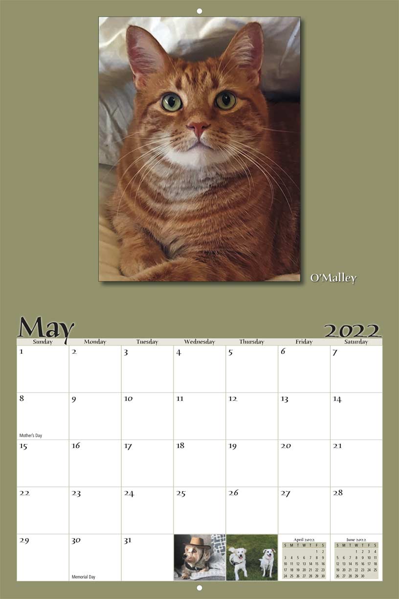 Paws and Prayers Pet Rescue 2022 Calendar Fundraising
