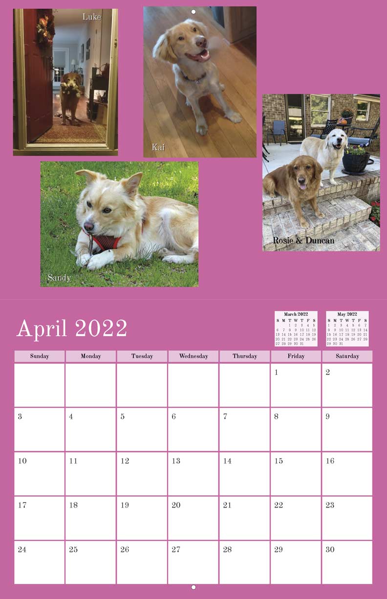 triad-golden-retriever-rescue-2022-calendar-fundraising