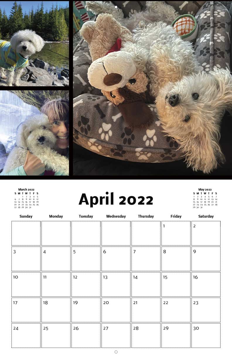 Largent 2021 Calendar Fundraising