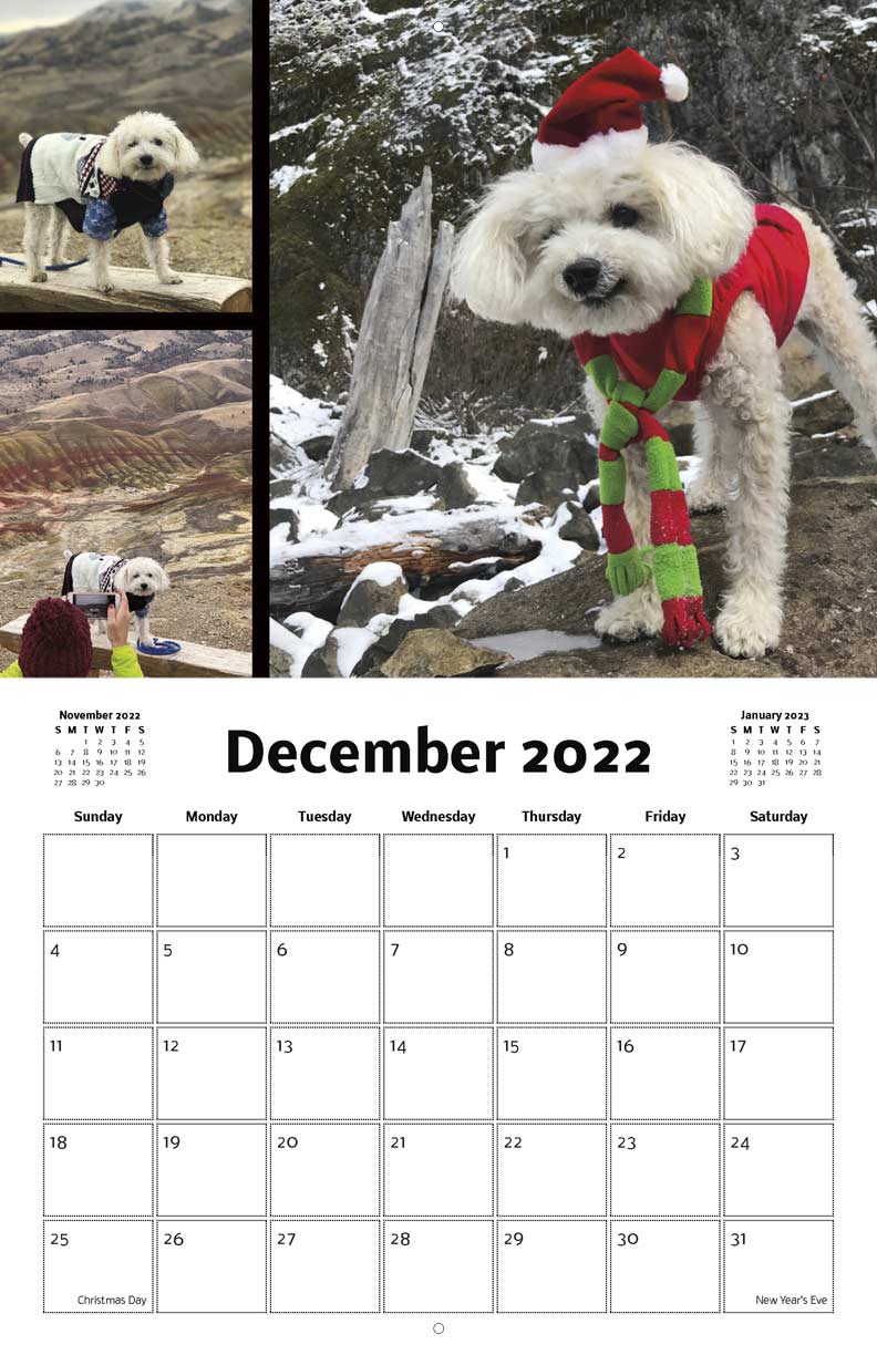 Largent 2021 Calendar Fundraising