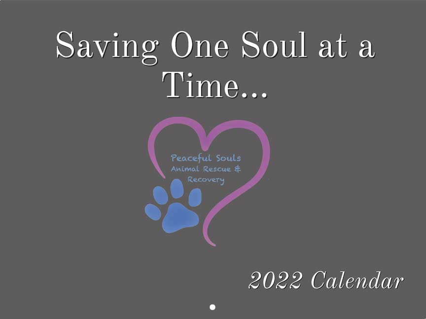 Peaceful Souls Animal Rescue 2022 Calendar Fundraising