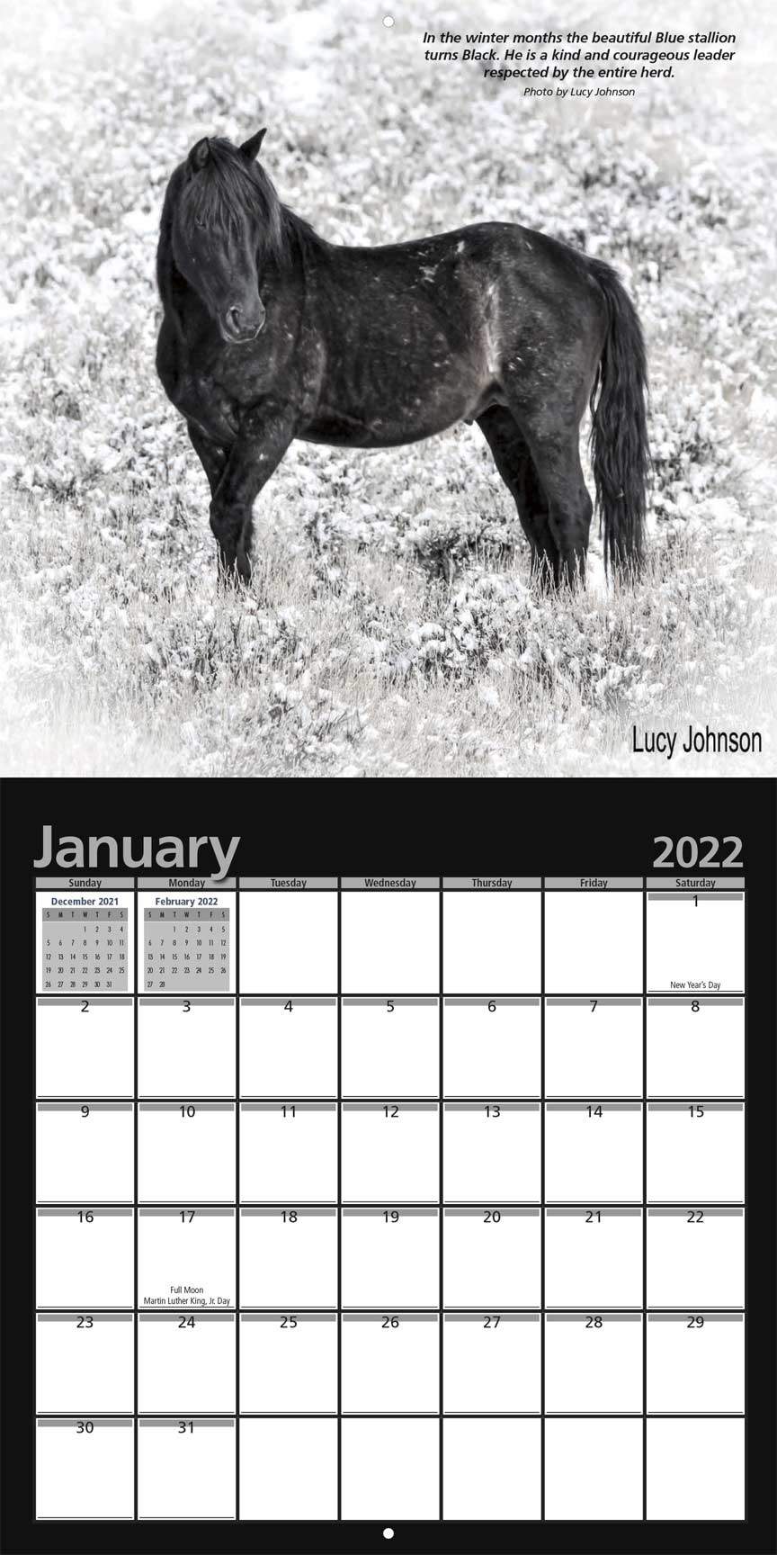 pine-nut-wild-horse-advocates-2021-calendar-fundraising