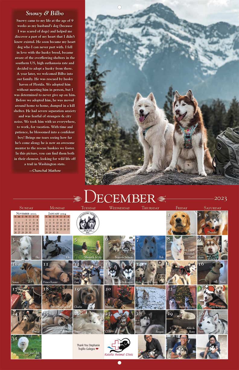 Shadow Husky Rescue 2023 Calendar - Yearbox Calendars
