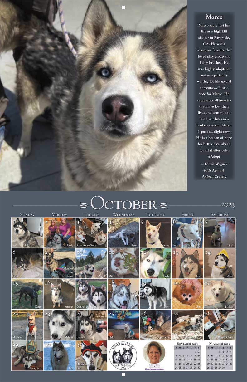 Shadow Husky Rescue 2023 Calendar - Yearbox Calendars